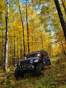 TYRI INTELLilight 1010, 0-2900 eLumens